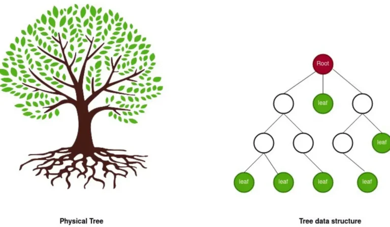 Understanding the Merkle Tree