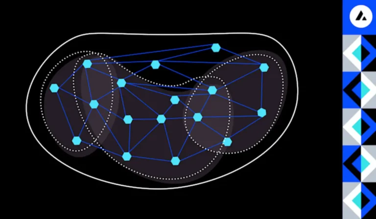Avalanche Subnets