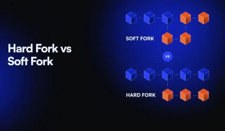 Hard Fork vs Upgrade Paths